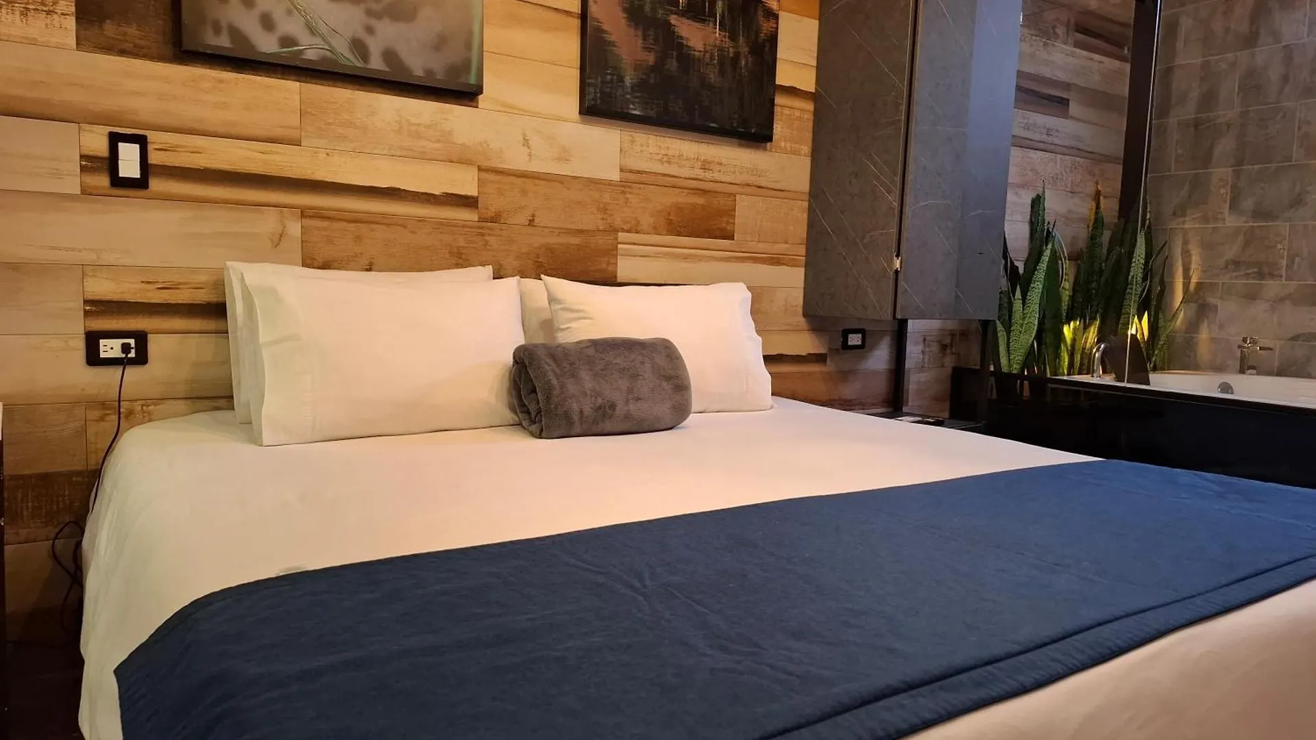 Apartment Loft Apartamentos Lleras Medellin Colombia